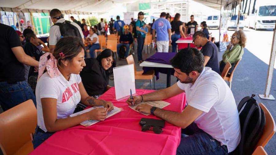 Las compañías realizaron entrevistas iniciales y evaluaciones de perfil.