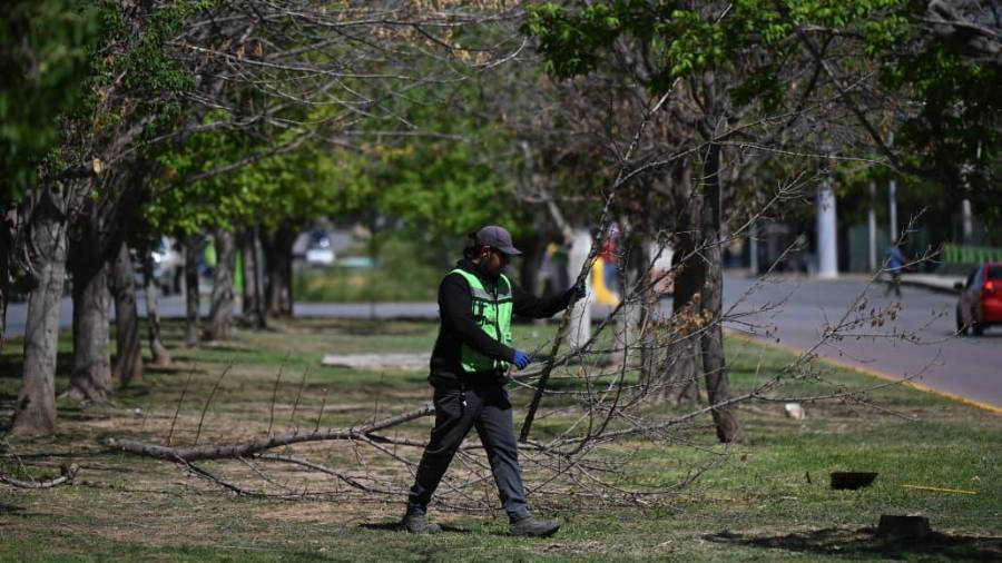 Personal de Servicios Públicos y Medio Ambiente intervino los arroyos El Martillo y Ceballos para retirar residuos y conservar despejados sus cauces.
