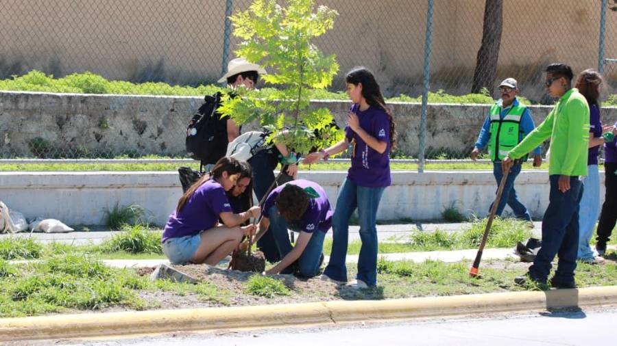 Cerca de 300 estudiantes de secundaria participaron en las labores de reforestación junto con brigadas de la Dirección de Medio Ambiente y Desarrollo Sustentable, según se informó.