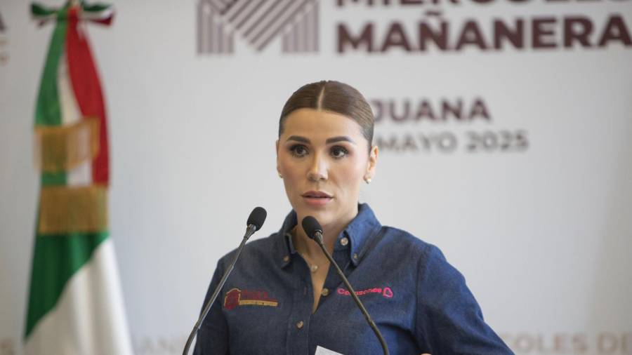 Llegado el caso, dice Riva Palacio, Ávila tendrá que explicar cómo no se dio cuenta de los recursos millonarios que recibía su entonces esposo del crimen organizado.