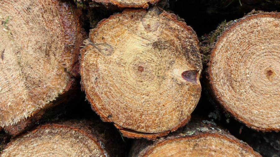 Las autoridades ambientales han reforzado las labores de inspección y vigilancia en distintos puntos de la entidad.