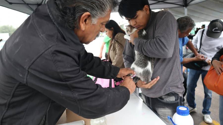 Familias saltillenses acudieron a la Feria del Bienestar Animal, donde hubo perros en adopción y servicios veterinarios.