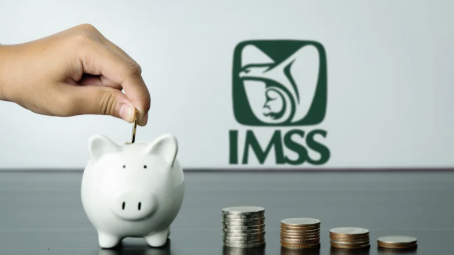Si buscas mejorar el monto de tu jubilación bajo la Ley 73, cotizar en la Modalidad 40 te costará el 14.438% de tu salario registrado este año.