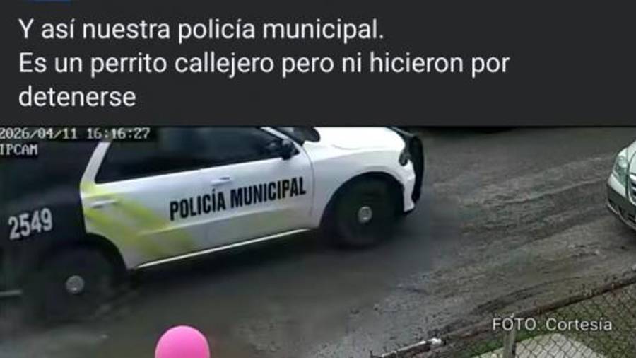 El momento en que la patrulla pasa sobre el animal quedó registrado por una cámara de seguridad y posteriormente fue difundido en redes sociales.