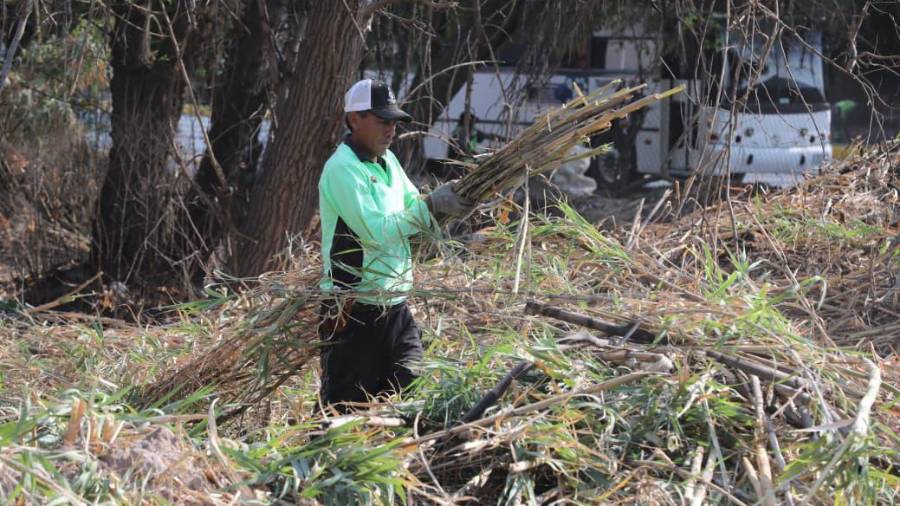 Cuadrillas municipales realizaron labores de limpieza, retiro de maleza y recolección de basura en un tramo del arroyo Los Ojitos, al norte de Saltillo.