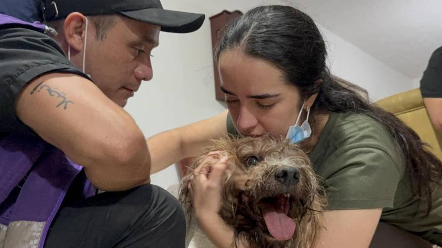 Camila Sepúlveda abraza a su perro Antonio, rescatado con vida a más de nueve metros de profundidad entre los escombros de un edificio de Torres del Limonar en Cali, Colombia.