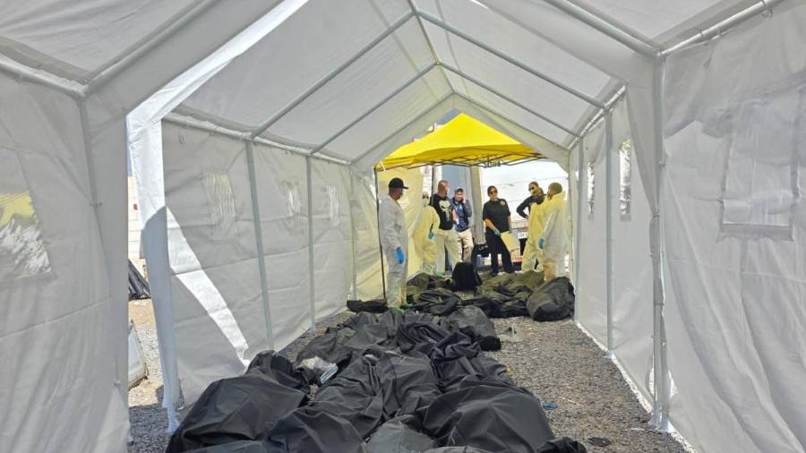 Informan que 160 de los 383 cuerpos localizados en junio pasado en el crematorio Plenitud han sido identificados.