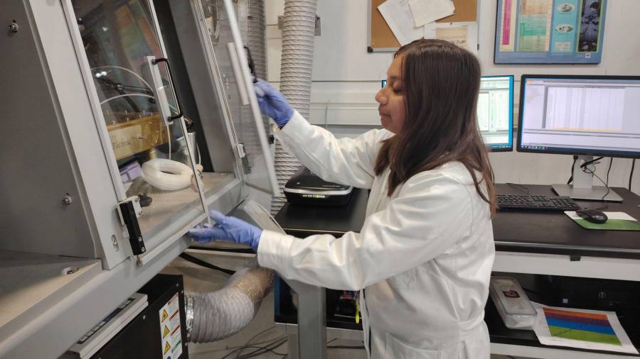 Los primeros resultados del estudio técnico podrían presentarse en 2026, tras concluir la recopilación de datos y comenzar el trabajo de campo