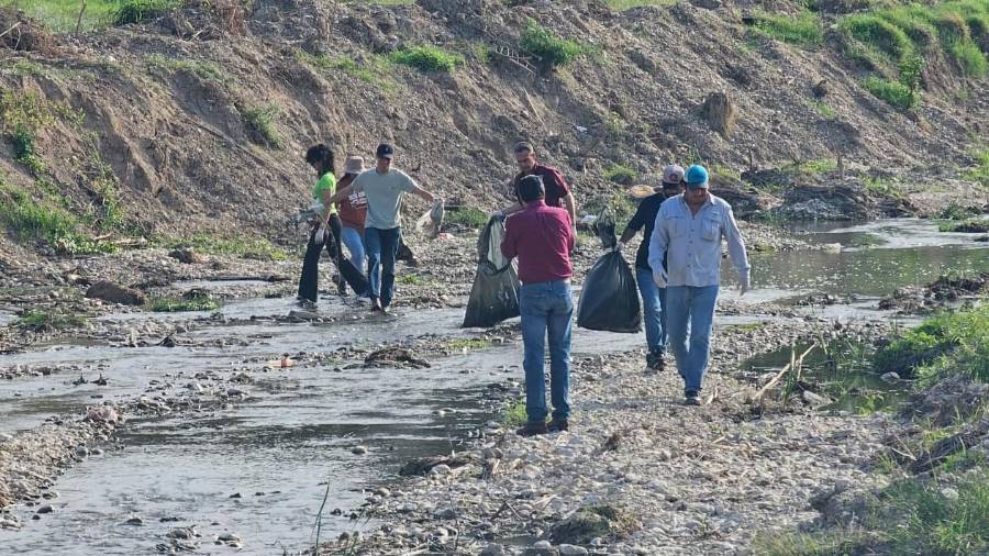 Personal de distintas dependencias municipales, junto con ciudadanos y organizaciones civiles, participaron en la limpieza del Arroyo de las Vacas para retirar residuos que podrían generar obstrucciones durante la temporada de lluvias.