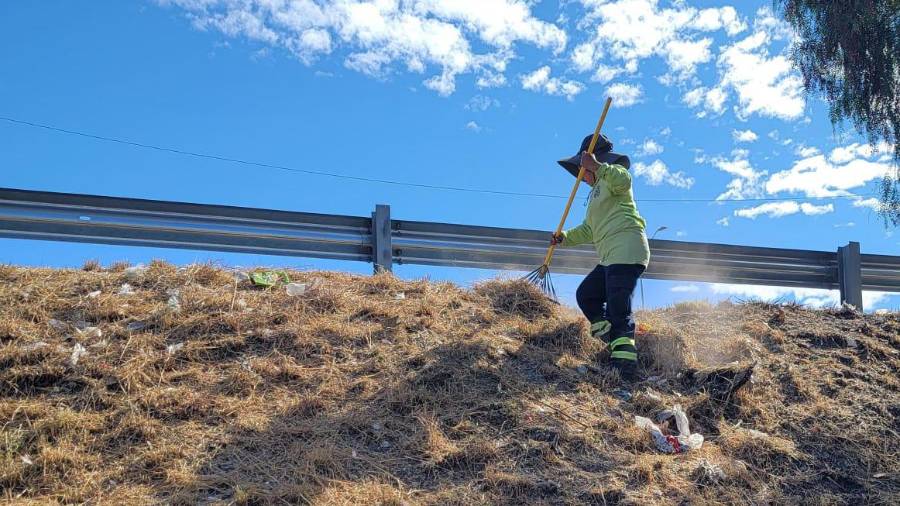 El retiro de maleza y basura permite cruces más seguros y reduce la presencia de fauna nociva en la zona.