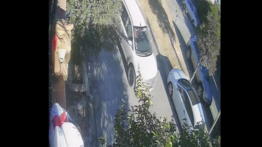 El video del moment del atropellamiento del perrito se viralizó en redes sociales, generando cientos de reacciones y comentarios.