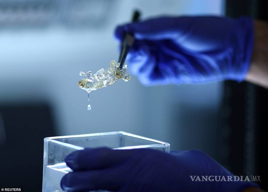 $!Científicos alemanes crean órganos humanos transparentes