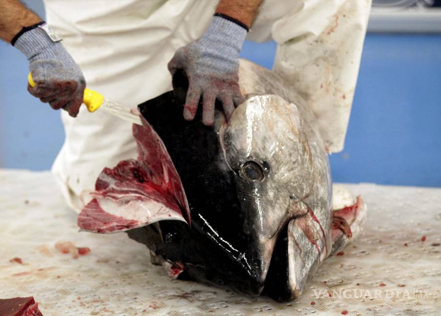 $!Un operario procede a realizar el ronqueo, despiece tradicional a cuchillo del atún rojo de almadraba. EFE/EPA/J.L.Cereijido