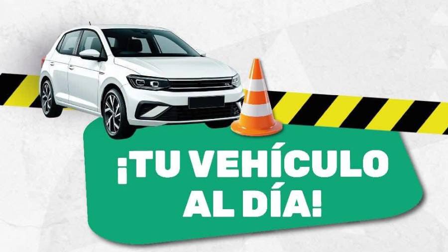 Los módulos operan de lunes a viernes, en un horario de 08:00 a 15:00 horas.