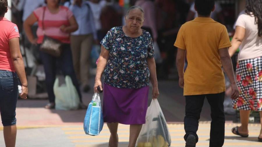 La iniciativa plantea entregar 2 mil pesos bimestrales a mujeres jefas de familia con hijas o hijos menores de edad, con una cobertura inicial estimada en 20 mil beneficiarias.