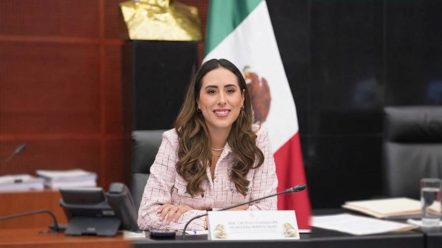 Cecilia Guadiana Mandujano, senadora por Coahuila, presentó una iniciativa para fortalecer la aplicación de la educación dual en el nivel superior.