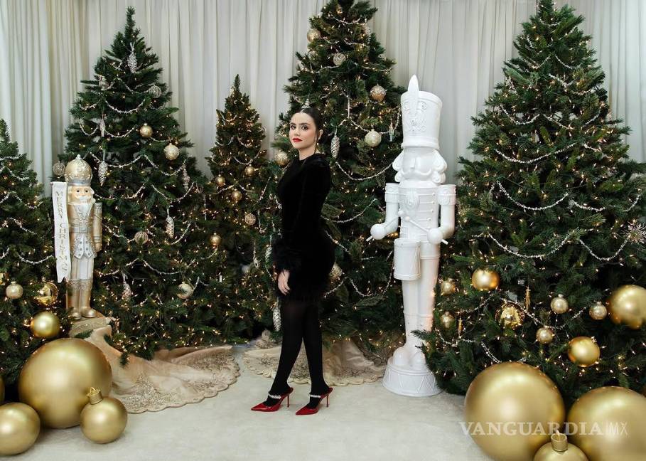 $!Markitos Toys: ¿Quiénes son los cuatro hermanos Castro Cárdenas relacionado con ‘Los Sapitos’ y ‘Los Chapitos’?