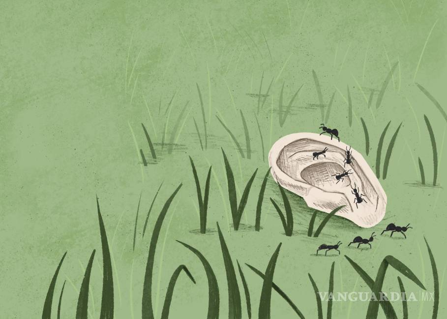 $!David Lynch fue un maestro en utilizar lo siniestro. En sus filmes muestra un barrio residencial perfecto, mientras que en el césped aparece una oreja humana”, según Díaz.