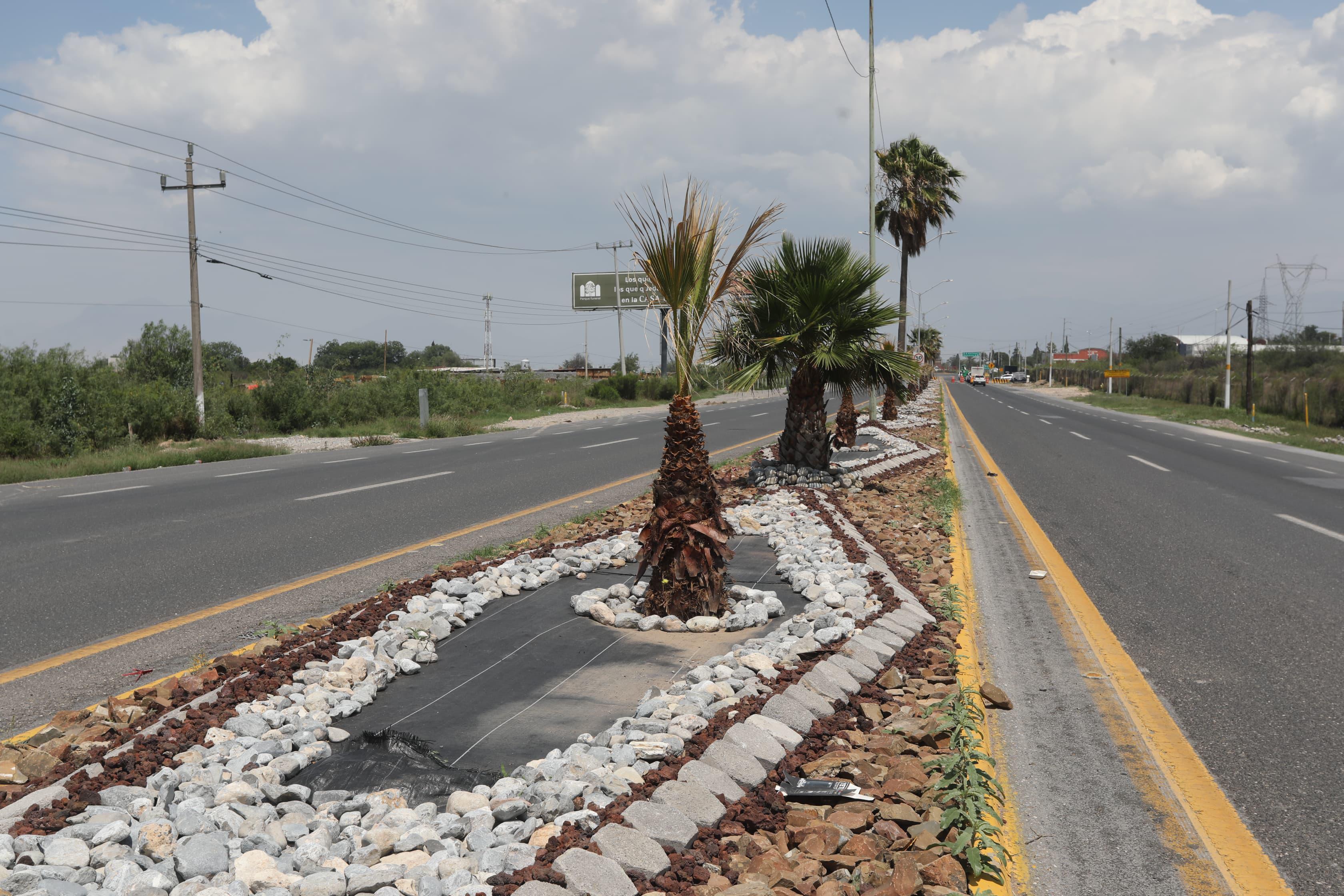 Embellece Saltillo sus accesos y colonias con acciones integrales de limpieza, reforestación y rehabilitación urbana. Noticias en tiempo real