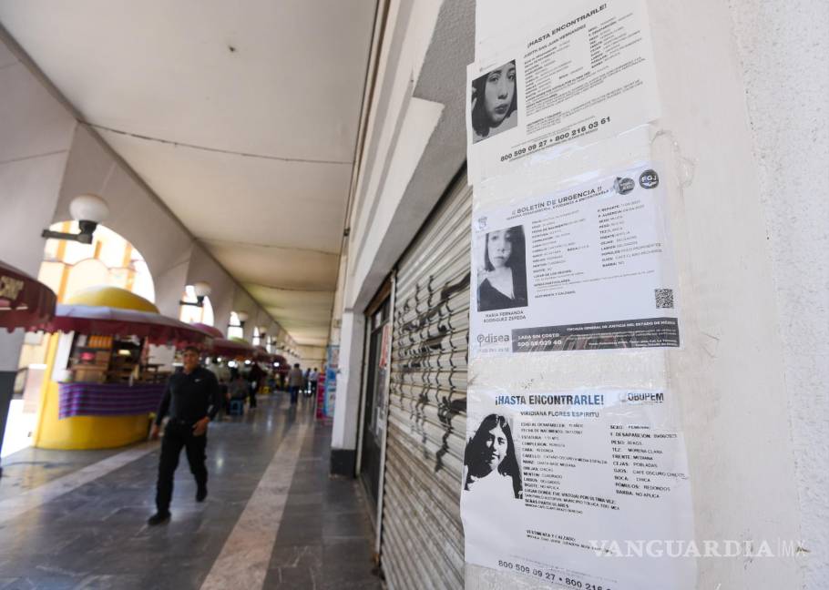 $!Fichas de búsqueda de jóvenes desaparecidas pegadas en paredes de los Portales de Toluca.