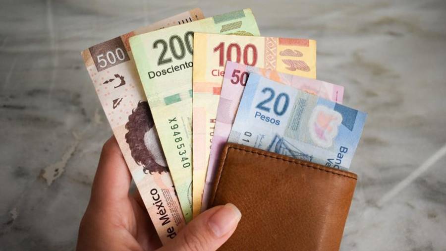 El estudio destacó que 8.6 millones tienen salarios insuficientes y otros 8.1 millones cuentan con un salario considerado de supervivencia