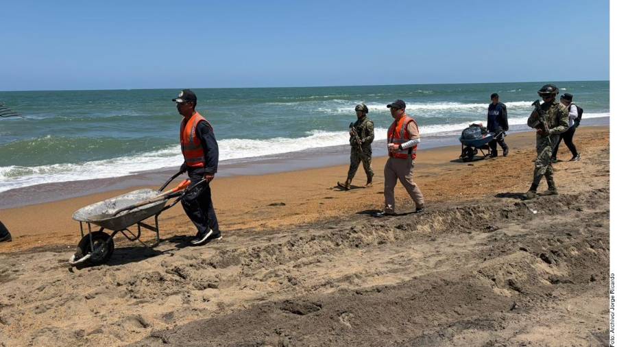 Analistas advierten que esta falta de capacidad técnica y la laxitud de la ASEA ahuyentarán inversiones y serán un punto crítico en la próxima revisión del T-MEC.