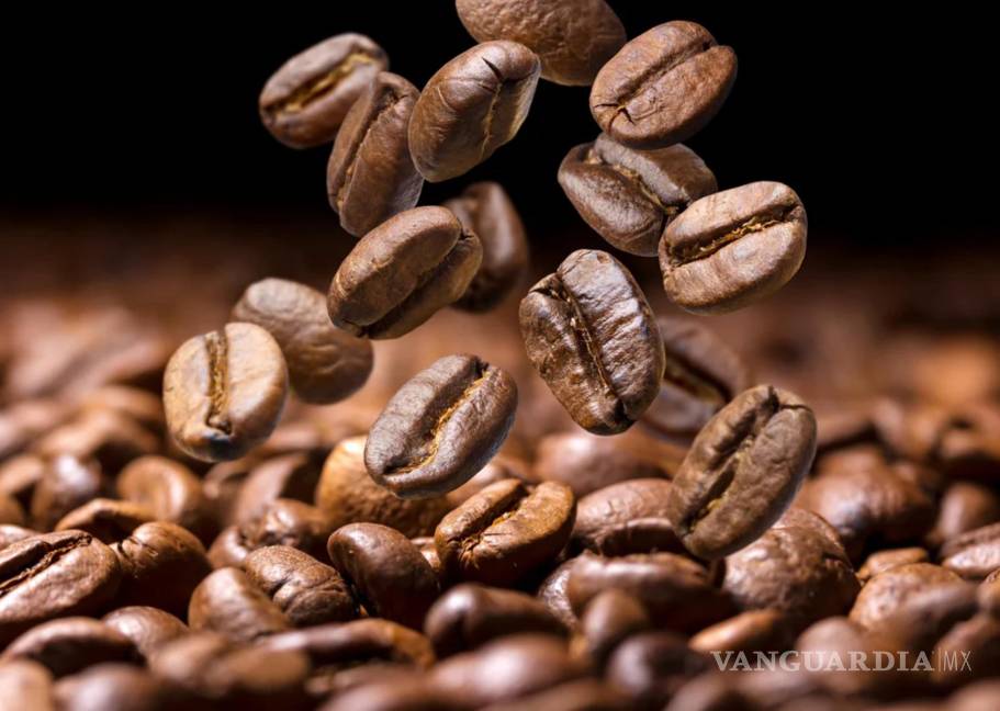 $!Granos de café Geisha recien tostado. Para los geishas el precio base es de 100 dólares por kilogramo y para los varietales 60 dólares.