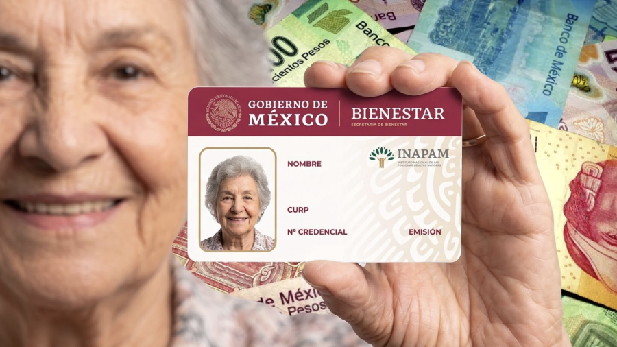 El programa de Vinculación Productiva del INAPAM permite que las personas de la tercera edad que continúan trabajando formalmente accedan al reparto de utilidades.
