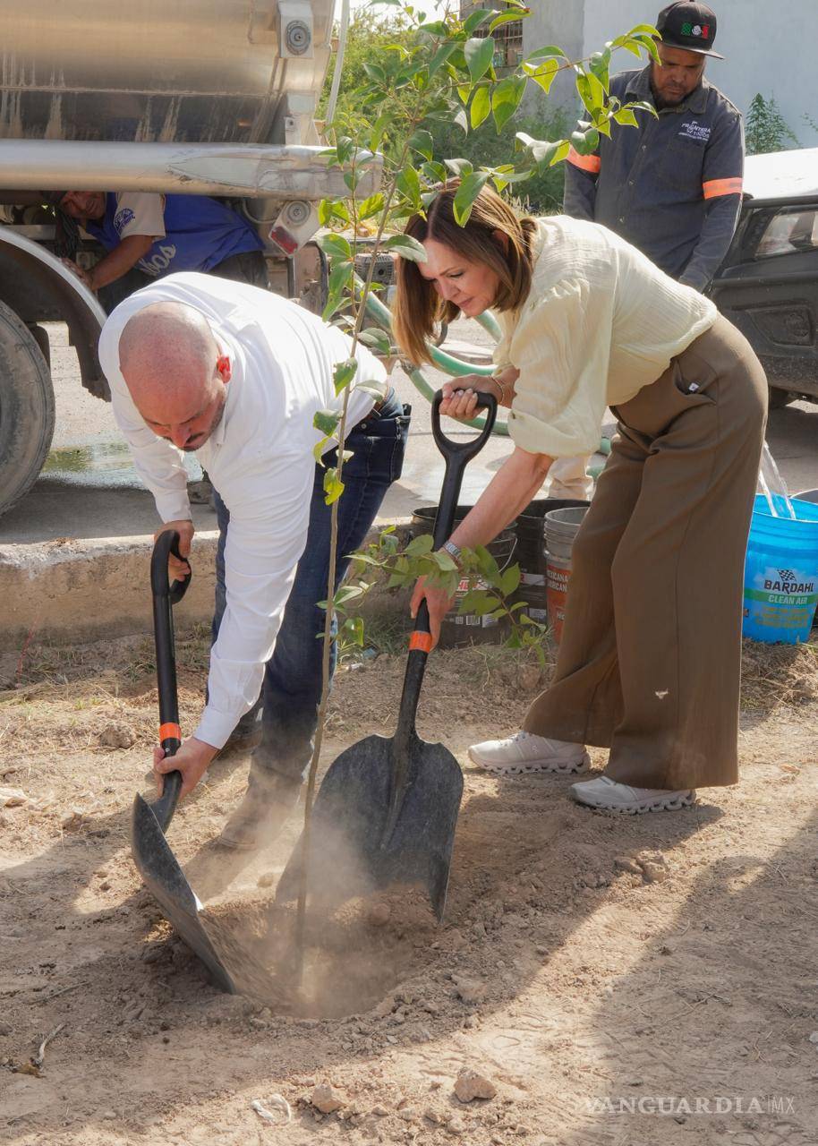 $!La alcaldesa Sara Irma Pérez participó en la jornada de reforestación.