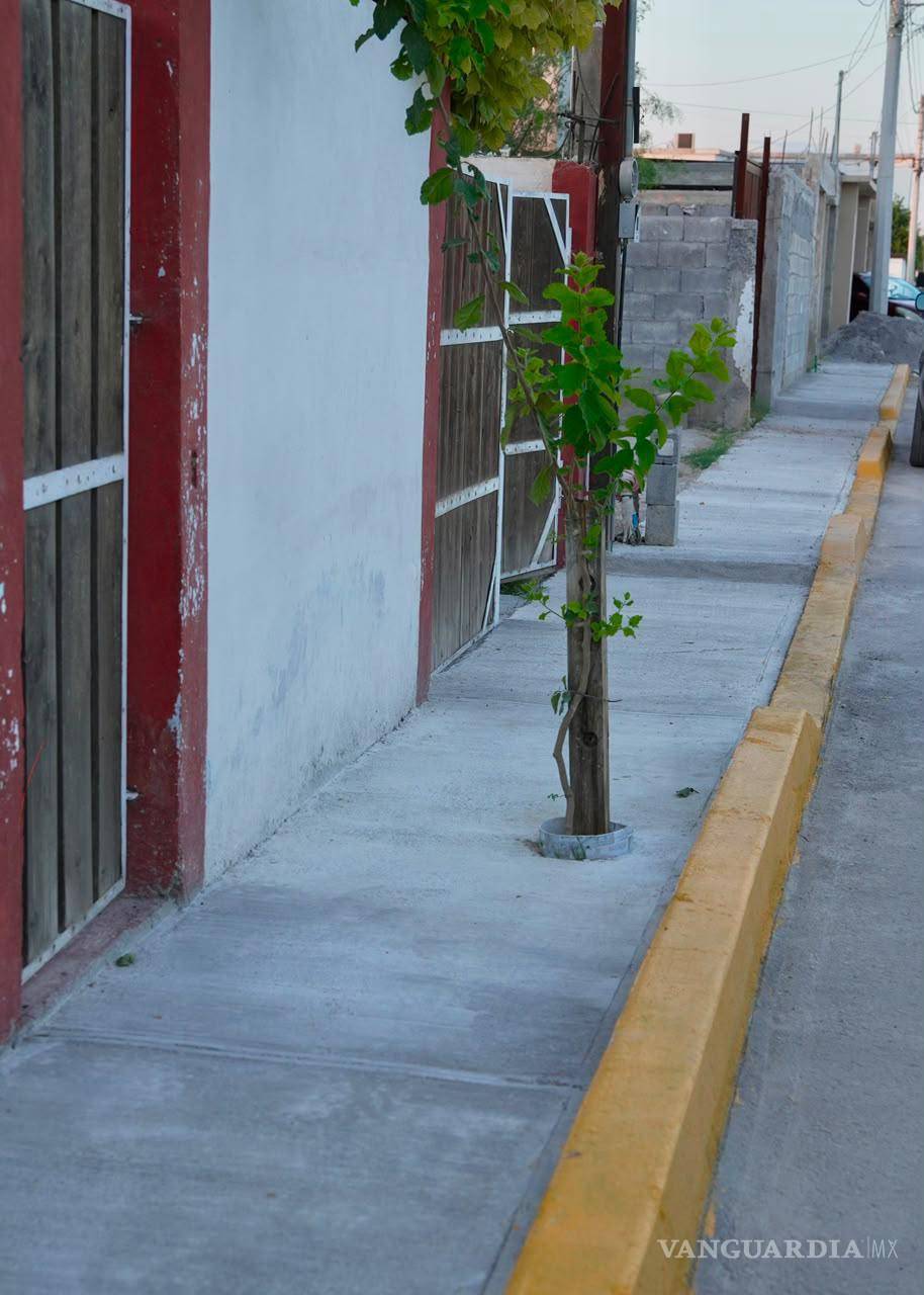 $!Los trabajos incluyeron limpieza, nivelación y colocación de concreto con acabado escobillado.