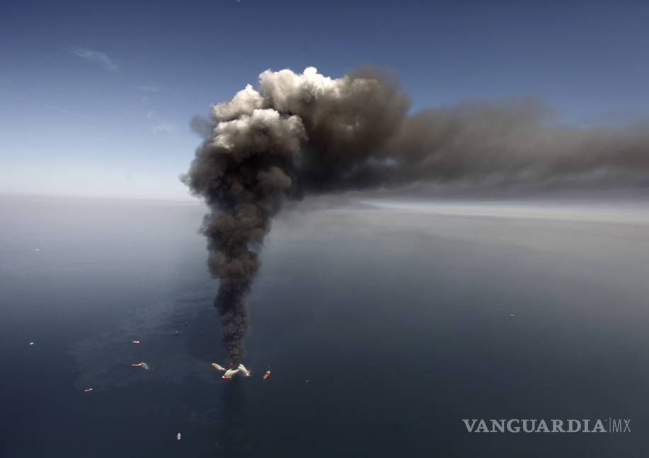 $!A 10 años de la explosión de la plataforma Deepwater Horizon la vida silvestre del Golfo de México sigue siendo afectada