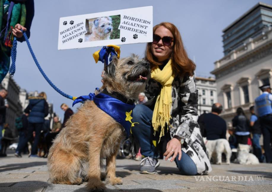 $!Cientos de perros ladran contra el &quot;Brexit&quot; en Londres