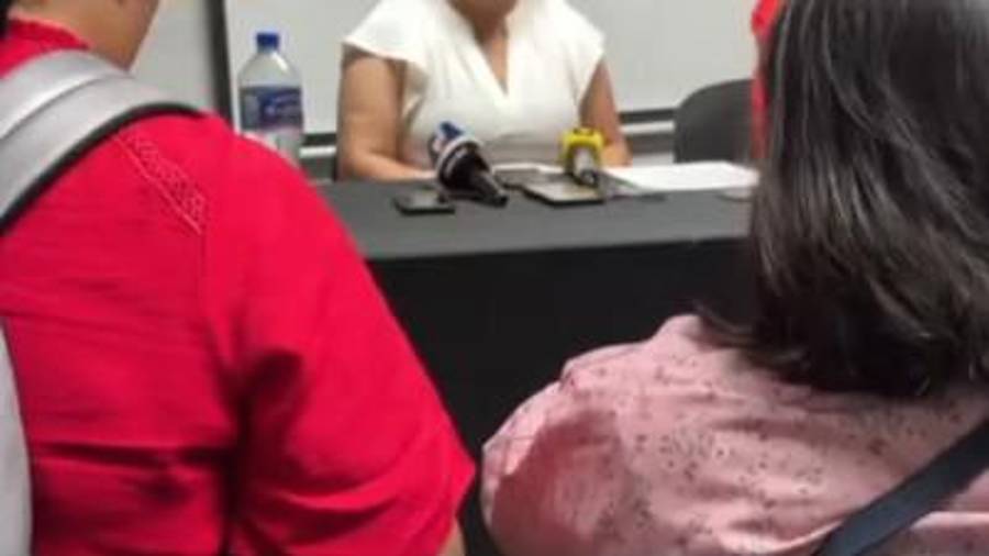 Jueza de control fijó un plazo de tres meses para investigar la denuncia contra Karyna “N”.