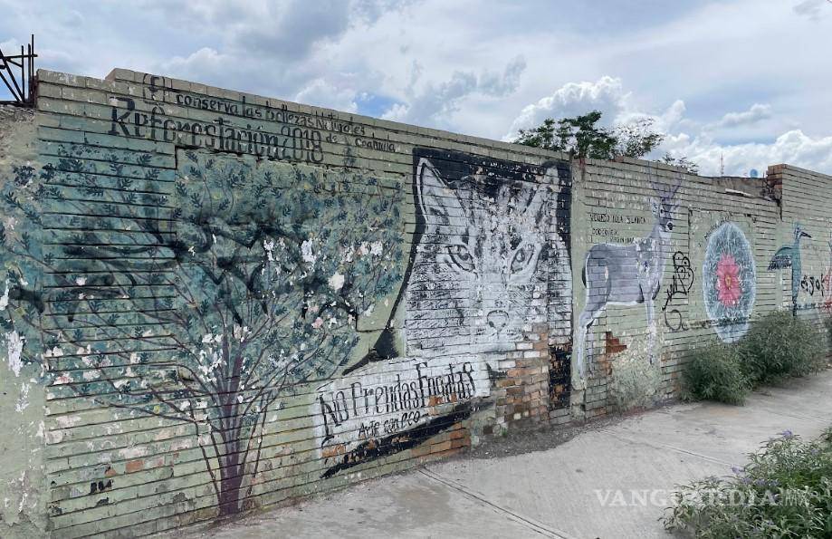 $!Conserva las Bellezas Naturales de Coahuila. Autor Desconocido. 2018. Categoría: Naturaleza. Calle Manuel Pérez Treviño.