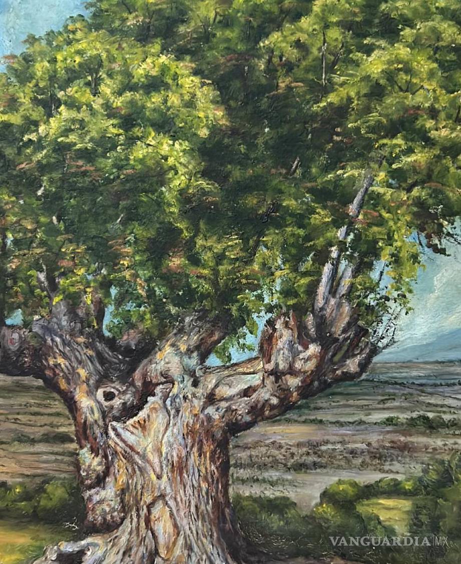 $!Árbol en casa de la familia De la Fuente Rumayor, Arteaga, Coahuila.