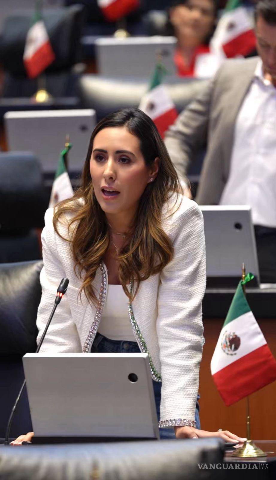 $!La senadora Cecilia Guadalupe Guadiana Mandujano compartió esta solicitud de un minuto de silencio en sus redes sociales.