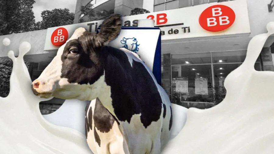 El estudio de Profeco encontró resultados favorables en distintas presentaciones de Vaca Blanca, marca que se comercializa en Tiendas 3B.
