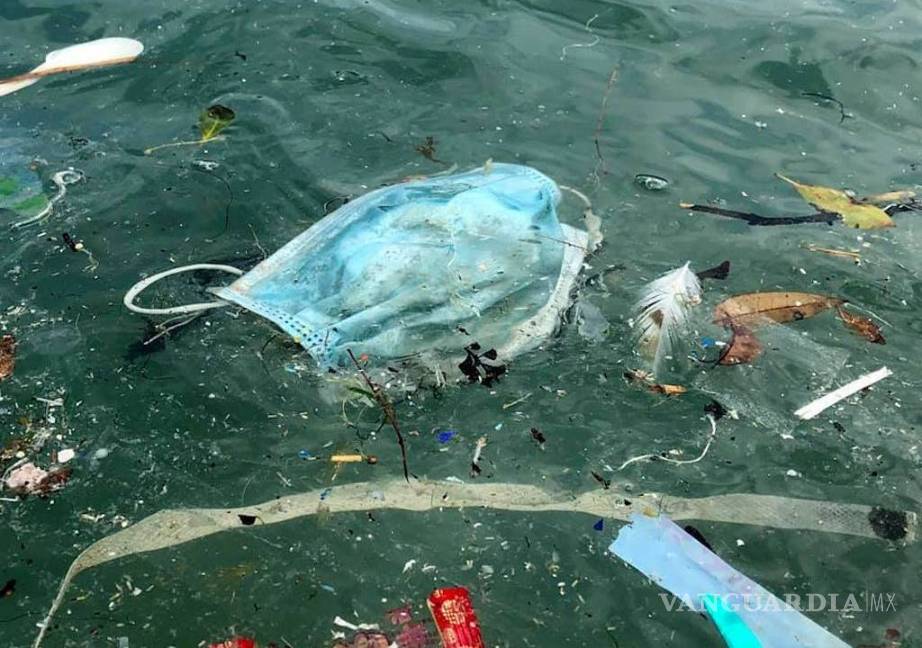 $!Advierten ambientalistas que cubrebocas son la 'pandemia' que está contaminando playas y mares