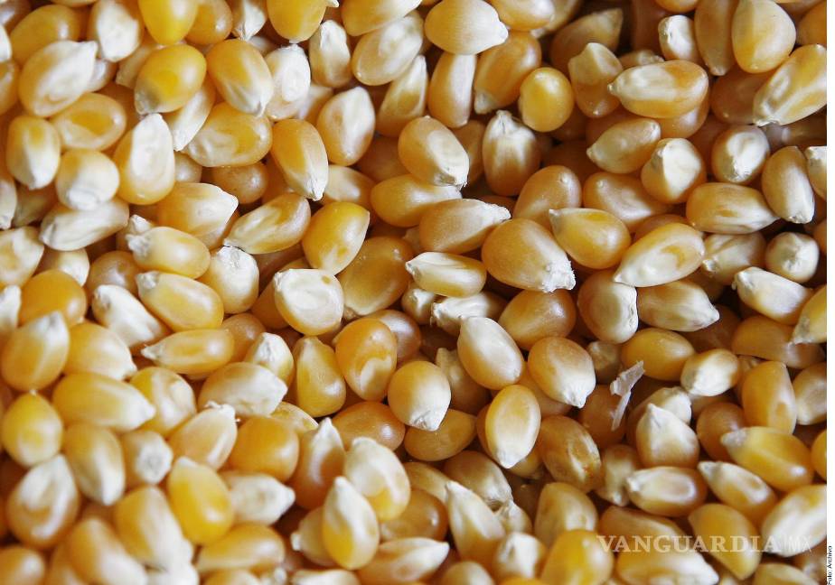 México romperá récord de importaciones de granos en 2023