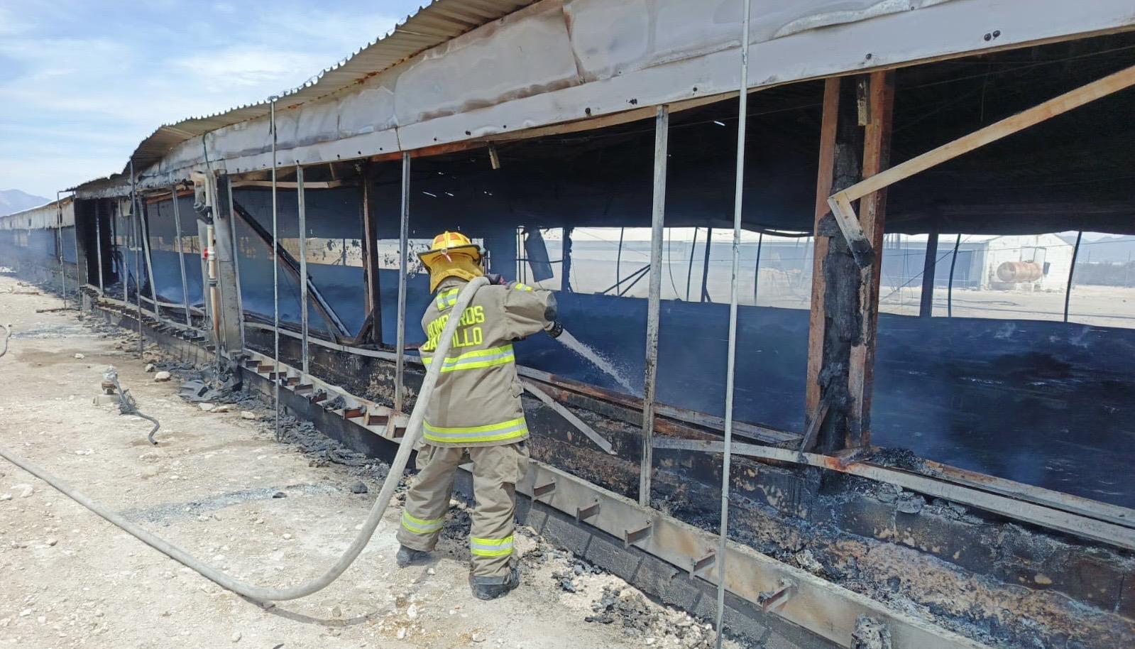 Incendio en gallinero termina con la vida de más de tres mil pollos en Derramadero. Noticias en tiempo real
