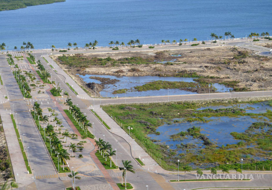 $!Así destruyeron el manglar de Tajamar, en Quintana Roo