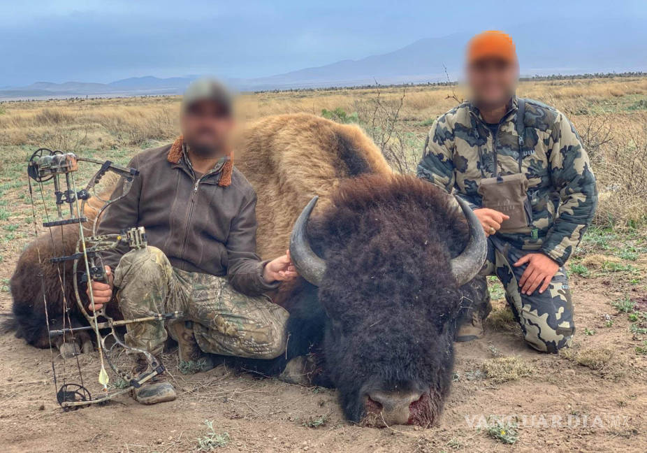$!Indignan imágenes de caza de bisontes en Coahuila