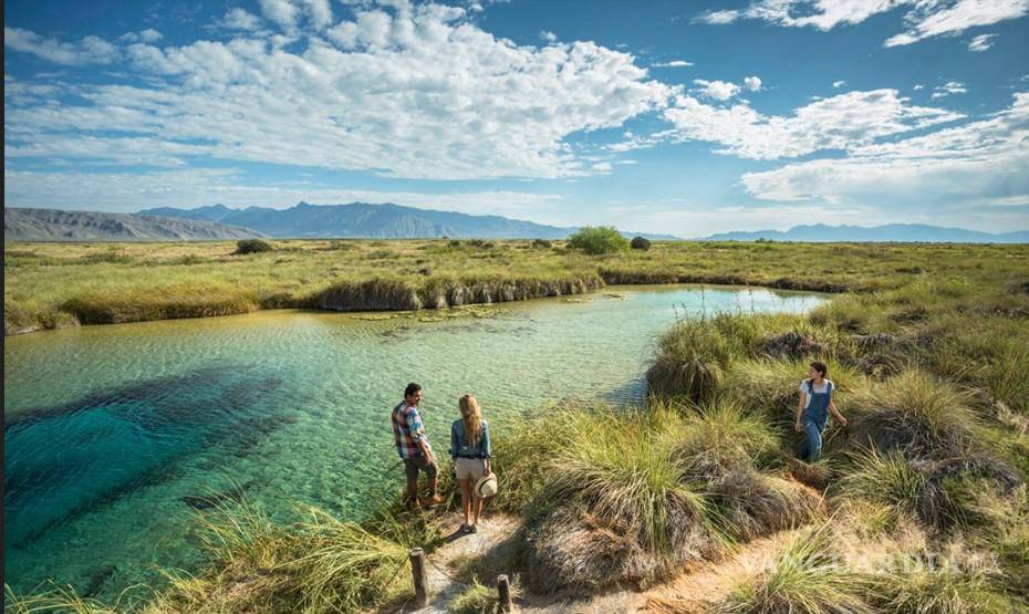 $!El encuentro reunirá a especialistas, investigadores y estudiantes interesados en la protección y conservación de la biodiversidad.