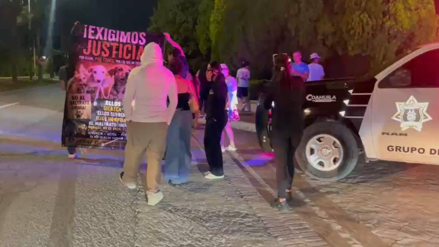 El caso de Rocky en Saltillo ejemplifica el impacto de la evidencia visual y la movilización ciudadana en redes sociales.