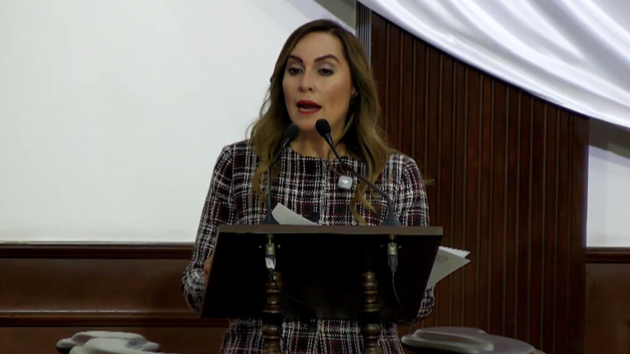 La diputada Magaly Hernández llamó a establecer lineamientos claros sobre el uso de celulares en las escuelas.