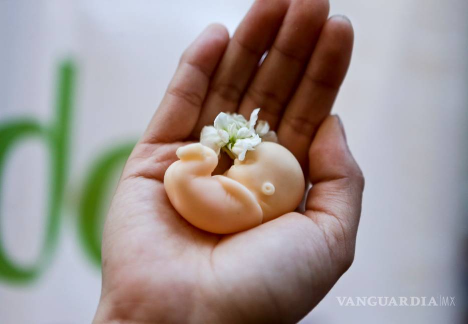 Bachelet celebra la aprobación del Constitucional a ley de aborto en Chile