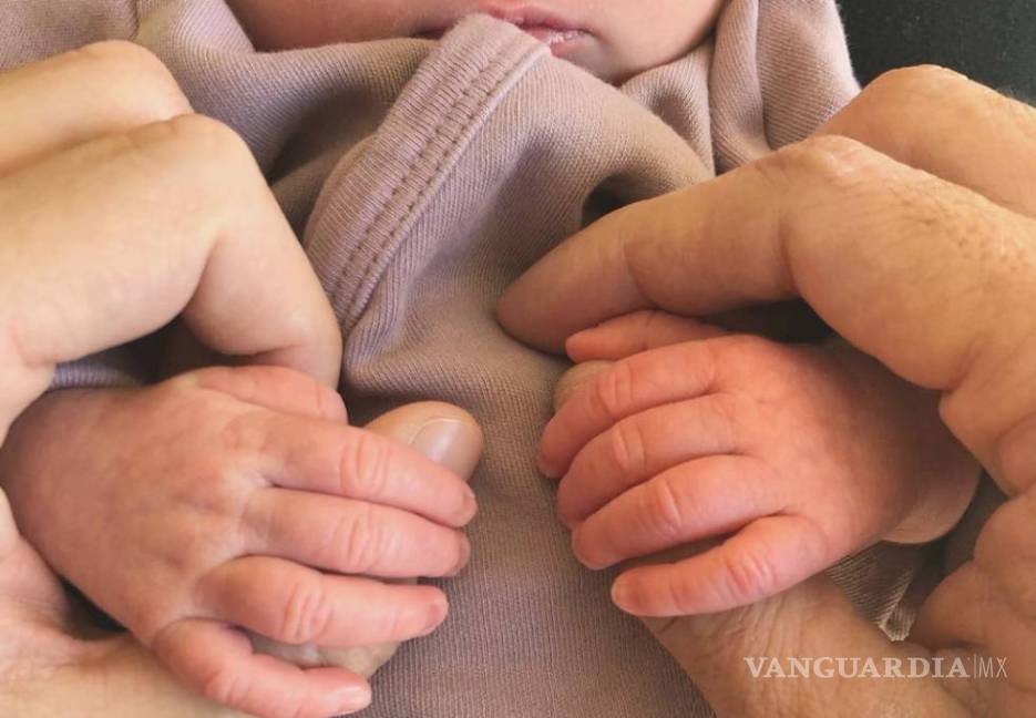 Los nacimientos en 2019