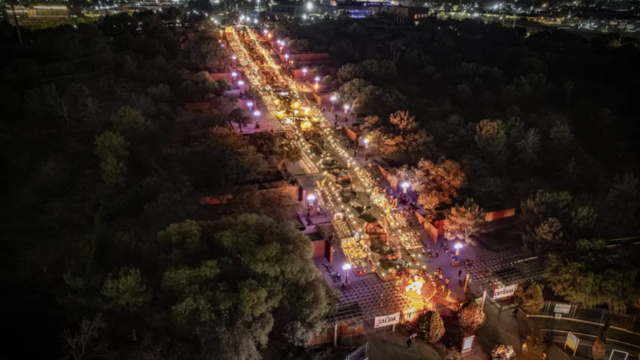 Vista aérea de la ofrenda monumental que se instala cada año en las escalinatas del Parque Las Maravillas.