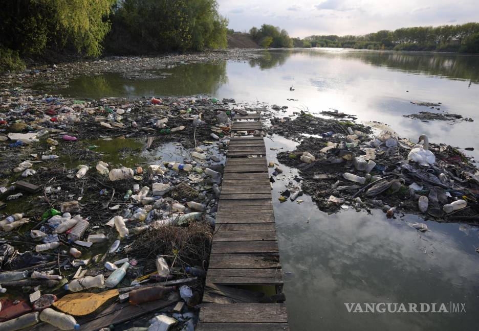 $!La basura ha inundado una parte considerable de los mares y océanos.