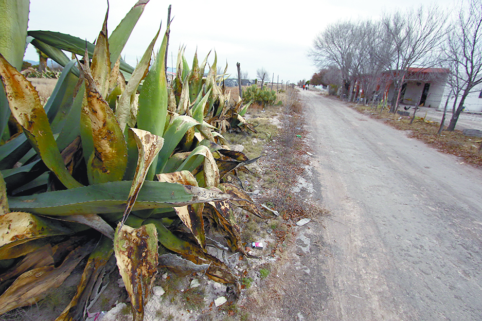 $!Un lugar llamado Navidad